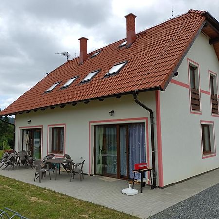Apartmany U Olsinske Kaplicky Horní Planá エクステリア 写真