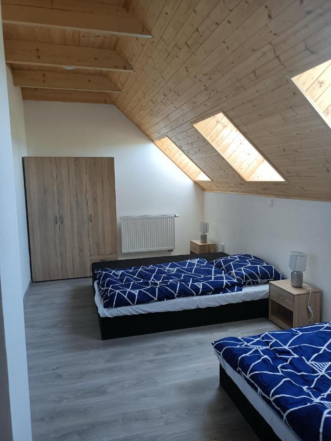 Apartmany U Olsinske Kaplicky Horní Planá エクステリア 写真