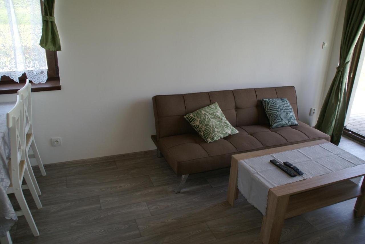 Apartmany U Olsinske Kaplicky Horní Planá エクステリア 写真