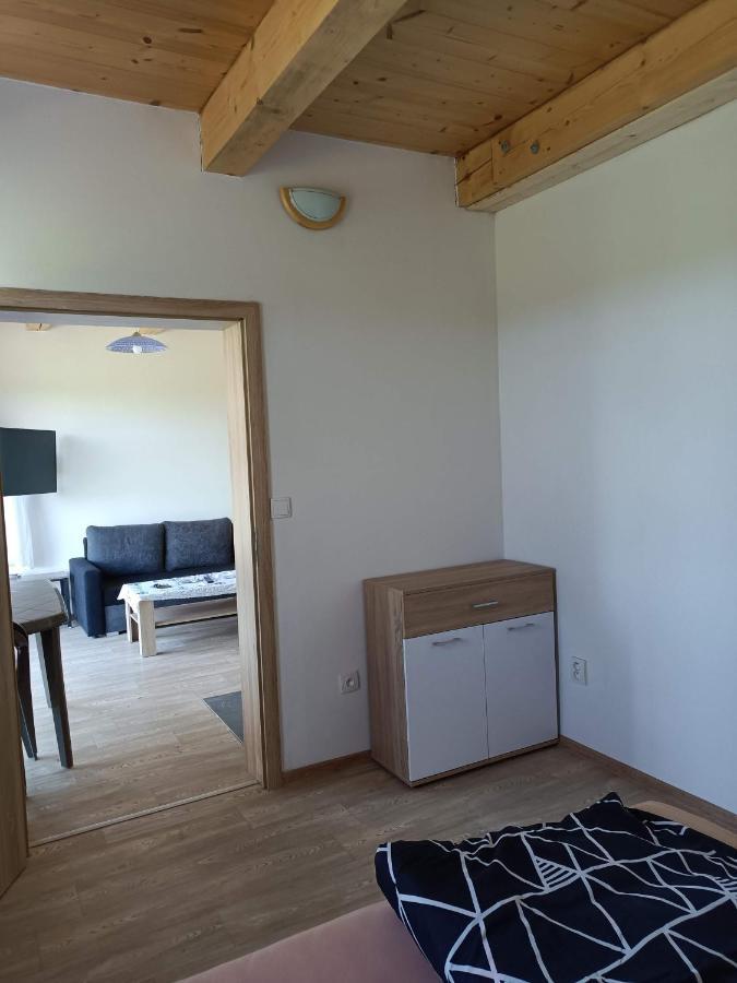 Apartmany U Olsinske Kaplicky Horní Planá エクステリア 写真