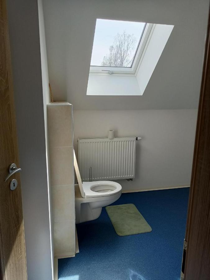 Apartmany U Olsinske Kaplicky Horní Planá エクステリア 写真