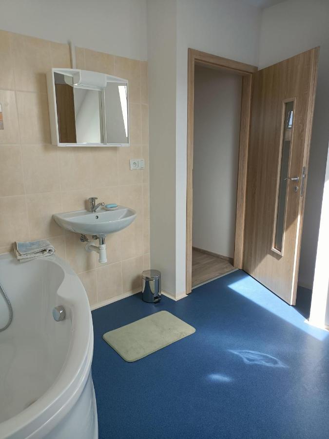 Apartmany U Olsinske Kaplicky Horní Planá エクステリア 写真