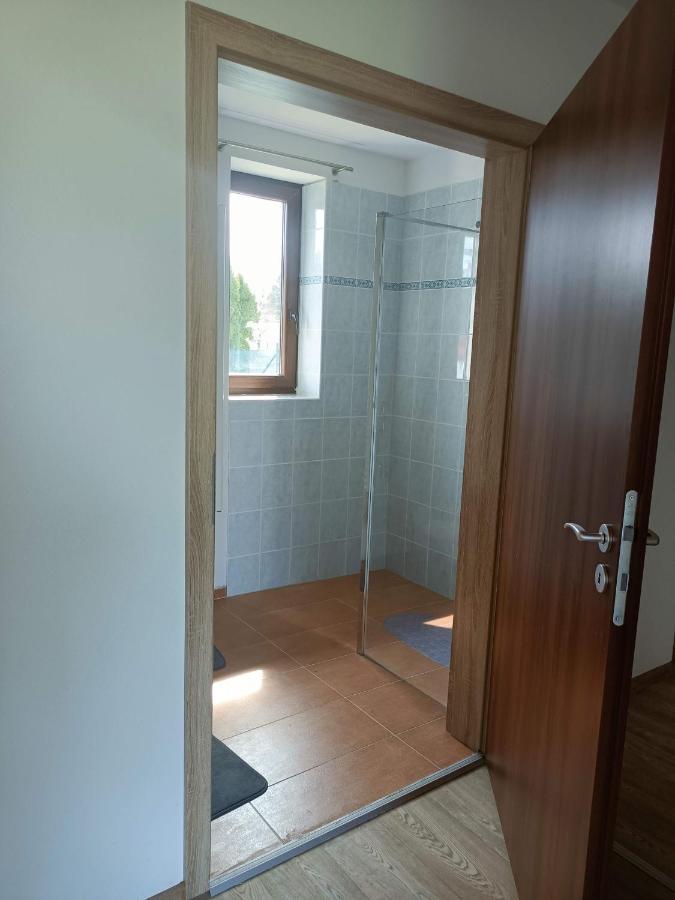 Apartmany U Olsinske Kaplicky Horní Planá エクステリア 写真