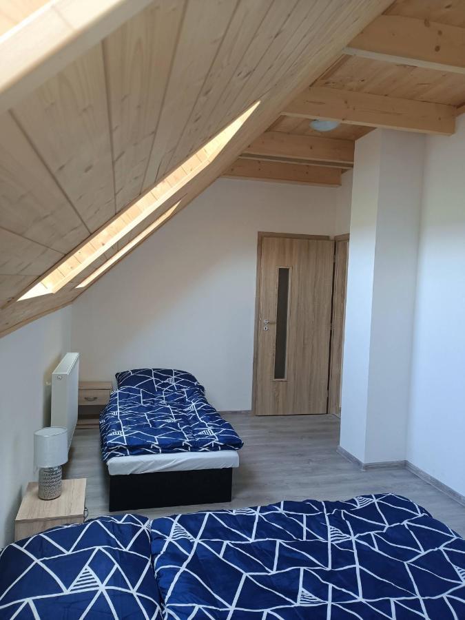 Apartmany U Olsinske Kaplicky Horní Planá エクステリア 写真