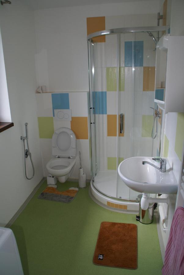 Apartmany U Olsinske Kaplicky Horní Planá エクステリア 写真
