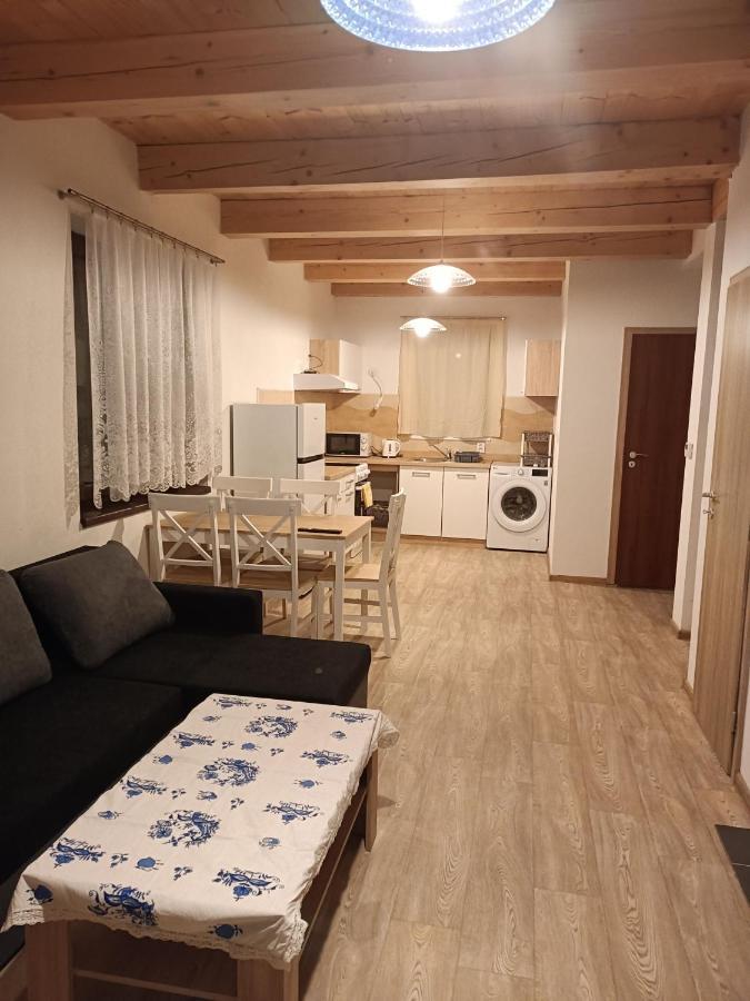 Apartmany U Olsinske Kaplicky Horní Planá エクステリア 写真