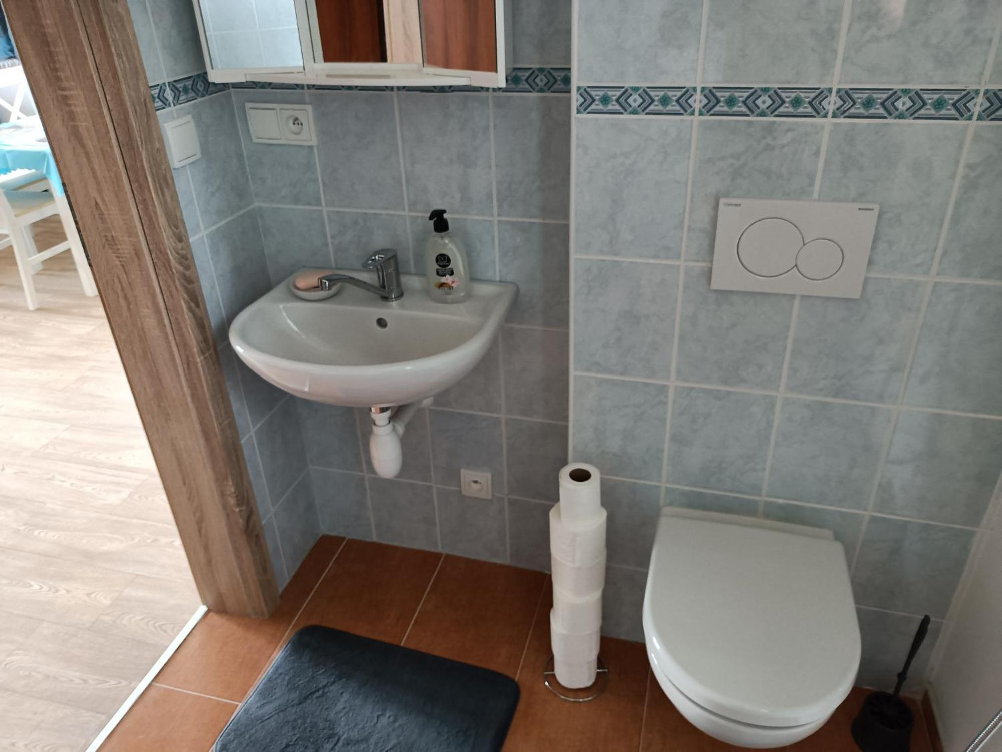 Apartmany U Olsinske Kaplicky Horní Planá エクステリア 写真